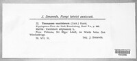 Image Associated With the Occurence